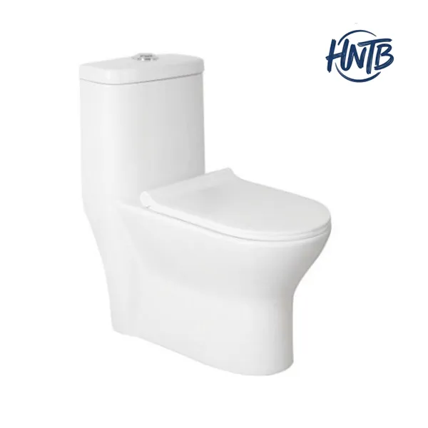 How to Customize a One-Piece Toilet